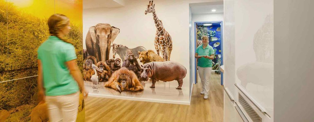 Jobs ZahnZoo Krefeld | Kinderzahnarzt